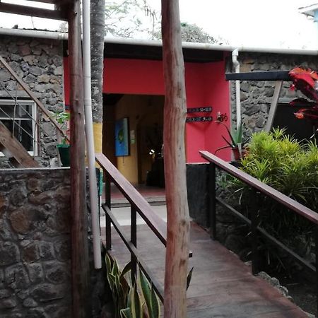 Galapagos Morning Glory Hostel Puerto Ayora  Exterior photo